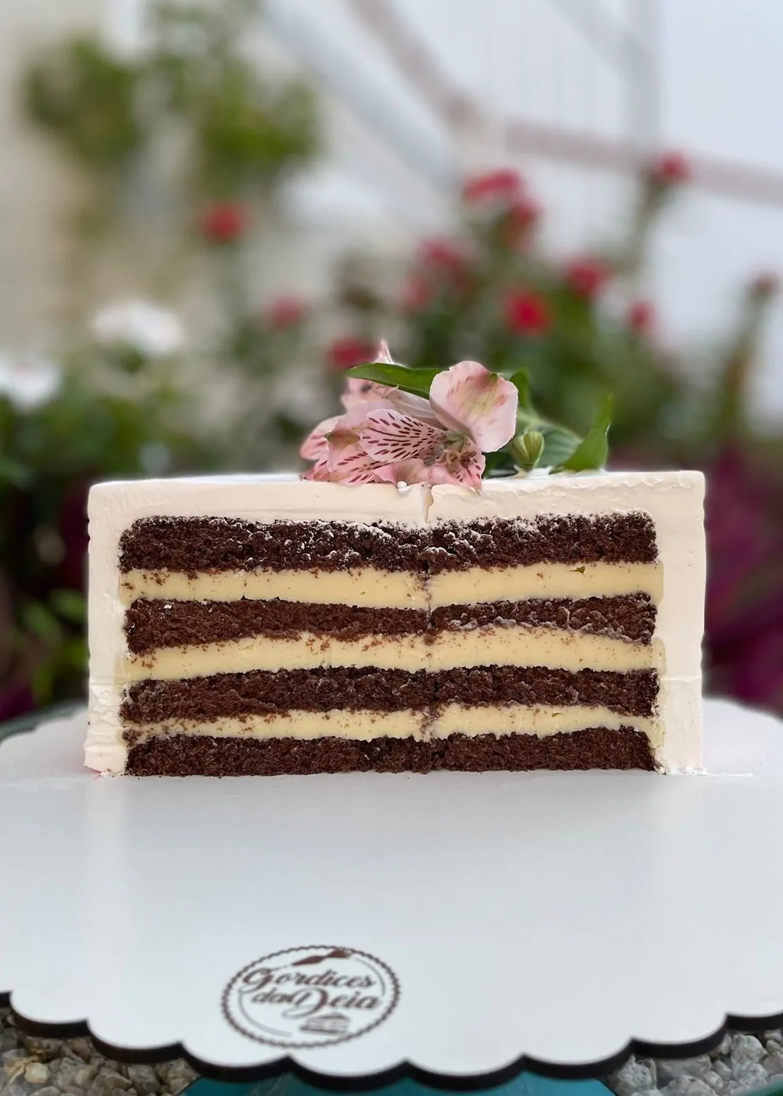 chocolate
